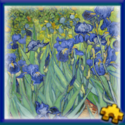 Irises