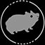 Guinea Pig