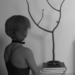 Introspective