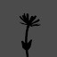 Green thumb