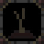 Maple