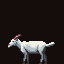 A Treacherous Buck