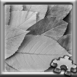Puzzle Complete!
