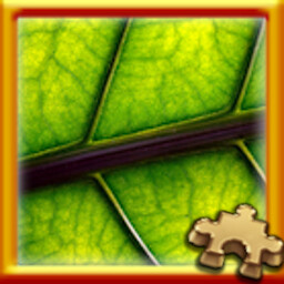Puzzle Complete!