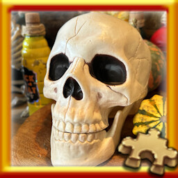 Skull