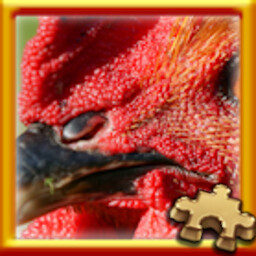 Puzzle Complete!