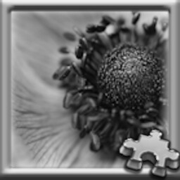 Puzzle Complete!