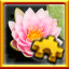 Water Lily Complete!
