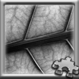 Puzzle Complete!