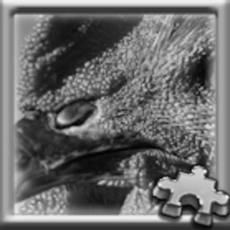 Puzzle Complete!