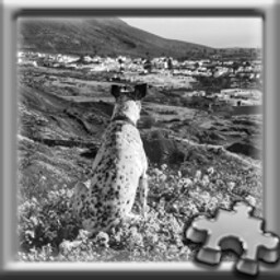 Puzzle Complete!