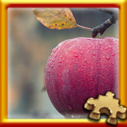 Puzzle Complete!