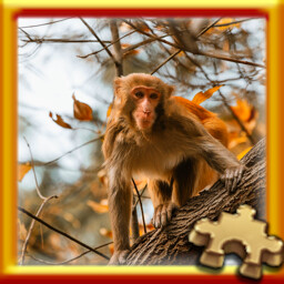 Puzzle Complete!