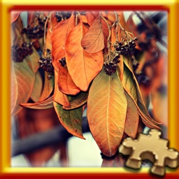Puzzle Complete!