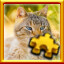 Feline Complete! 