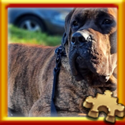 Puzzle Complete!