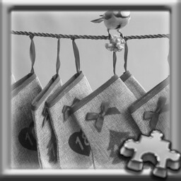 Stockings