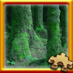 Moss