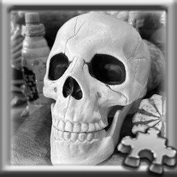 Skull
