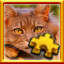 Feline Complete!