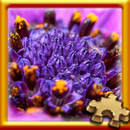 Puzzle Complete!