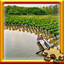 Row