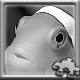 Clownfish