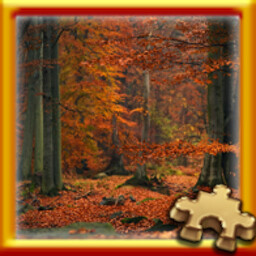 Fall