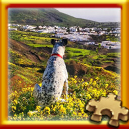 Puzzle Complete!