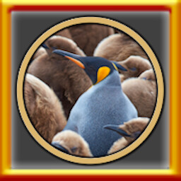  All Variety Pack XXS Puzzles Complete!