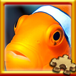 Clownfish