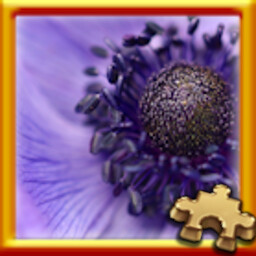 Puzzle Complete!