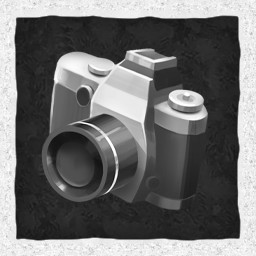 Capturing Moments of Life