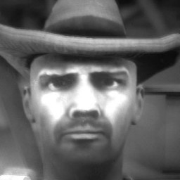 The Cowboy's Concern