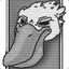Pelican