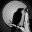 Raven Spell
