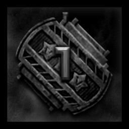 The cadet medal