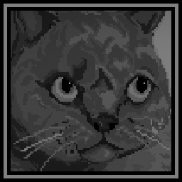 Herbert