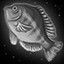 Fisherman