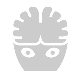 Room 1: Mastermind