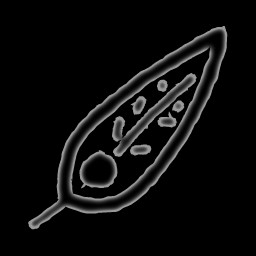 1 Feather