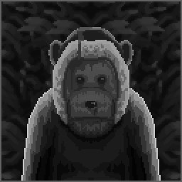 Wet Monkey
