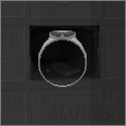 Fake Ring