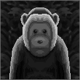 Primal Stare