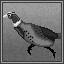 Master Hunter