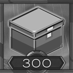 300 kg delivery