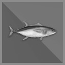 100 Tuna