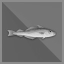 100 kg Haddock