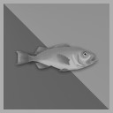 1.000 kg Red Fish