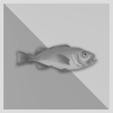 10.000 kg Red Fish